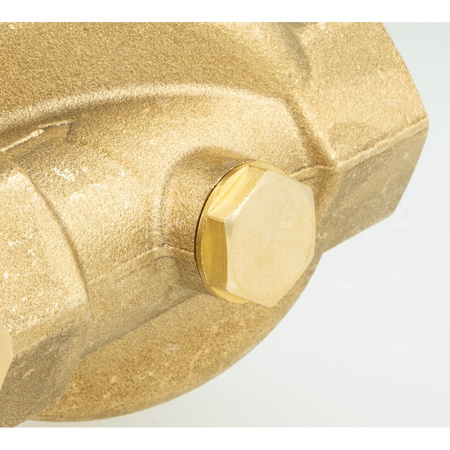 Filtr do wody AWF 130 z płukaniem ręcznym, GW G1''