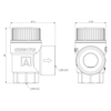 Zawór przelewowy AFRISO MS mosiądz 2 bar GW 1/2'' x 3/4''