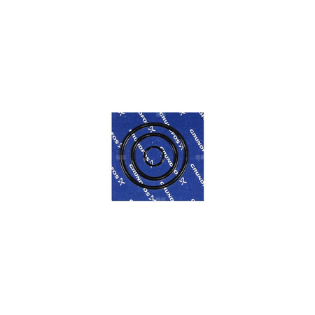 Zestaw oringów GRUNDFOS S D37161