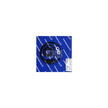 Zestaw oringów SEG B/C