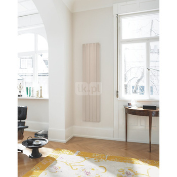 Grzejnik żeberkowy ZEHNDER Roda 222 x 1000 mm, kolor black matt, moc 872 W