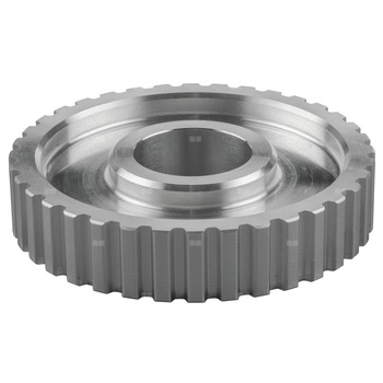 Tarcza paseka zębatego