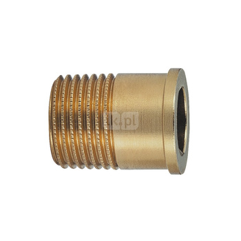 Króciec gwintowany DN20