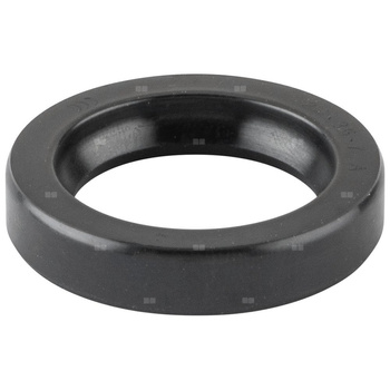 Pierścień uszczelniający wału