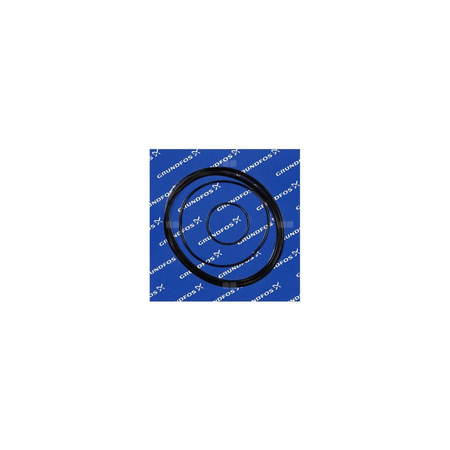 Zestaw oringów GRUNDFOS TP IFV 200TL