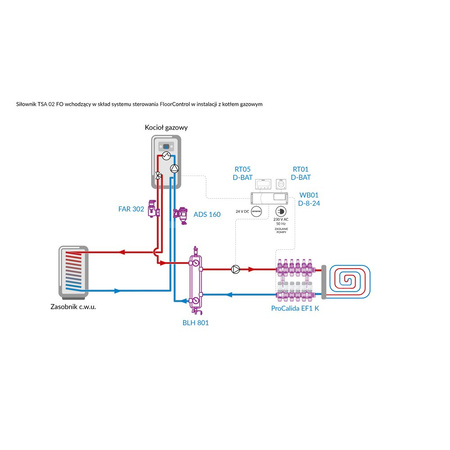 Siłownik termoelektryczny TSA-02 FO, nakrętka M30 x 1,5 mm, 24 V AC/DC, NC, funkcja sterowania ręcznego