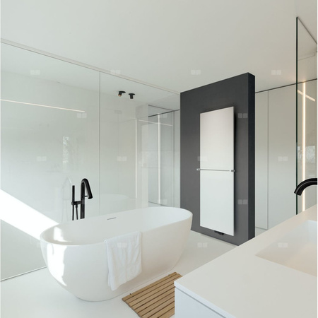 Kermi® Niva® N2L1 2220x620x119 mm 2243W biały RAL9016